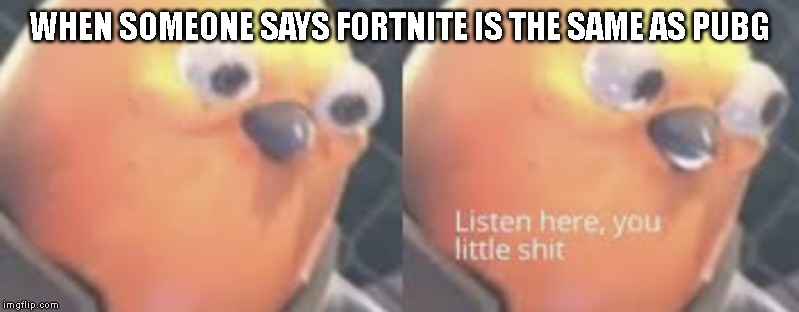 Yes, I know the war between Fortnite and PubG is over...but still! | WHEN SOMEONE SAYS FORTNITE IS THE SAME AS PUBG | image tagged in listen here you little shit bird,fortnite,pubg,listen here you little shit,not the same,fortnite meme | made w/ Imgflip meme maker
