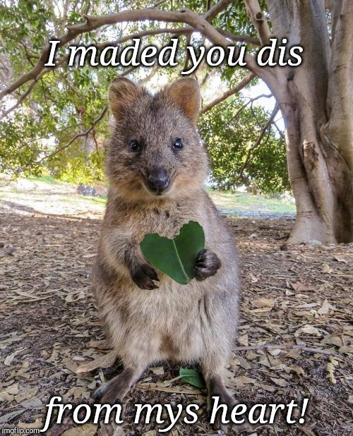 I maded you dis; from mys heart! | image tagged in friendship,heart,cute | made w/ Imgflip meme maker