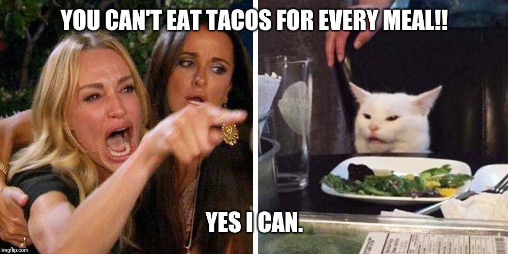 Smudge the cat | YOU CAN'T EAT TACOS FOR EVERY MEAL!! YES I CAN. | image tagged in smudge the cat | made w/ Imgflip meme maker