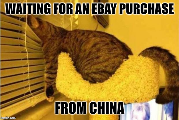 WAITING FOR AN EBAY PURCHASE FROM CHINA | made w/ Imgflip meme maker