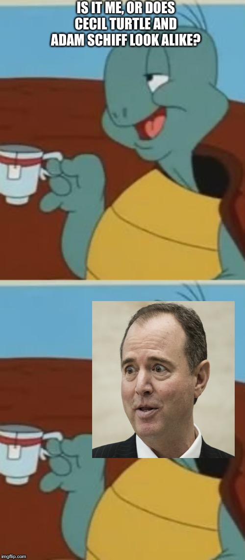 Cecil Schiff | IS IT ME, OR DOES CECIL TURTLE AND ADAM SCHIFF LOOK ALIKE? | image tagged in funny,joke,doppelgnger,politics | made w/ Imgflip meme maker