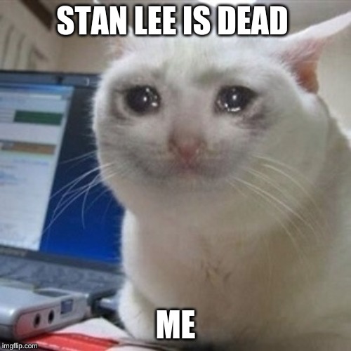 Crying cat | STAN LEE IS DEAD; ME | image tagged in crying cat | made w/ Imgflip meme maker