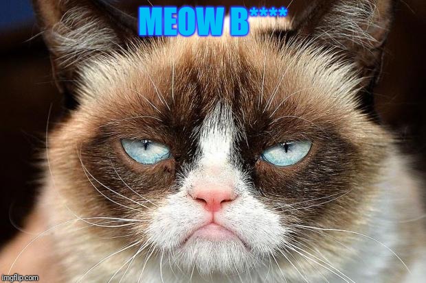 Grumpy Cat Not Amused | MEOW B**** | image tagged in memes,grumpy cat not amused,grumpy cat | made w/ Imgflip meme maker