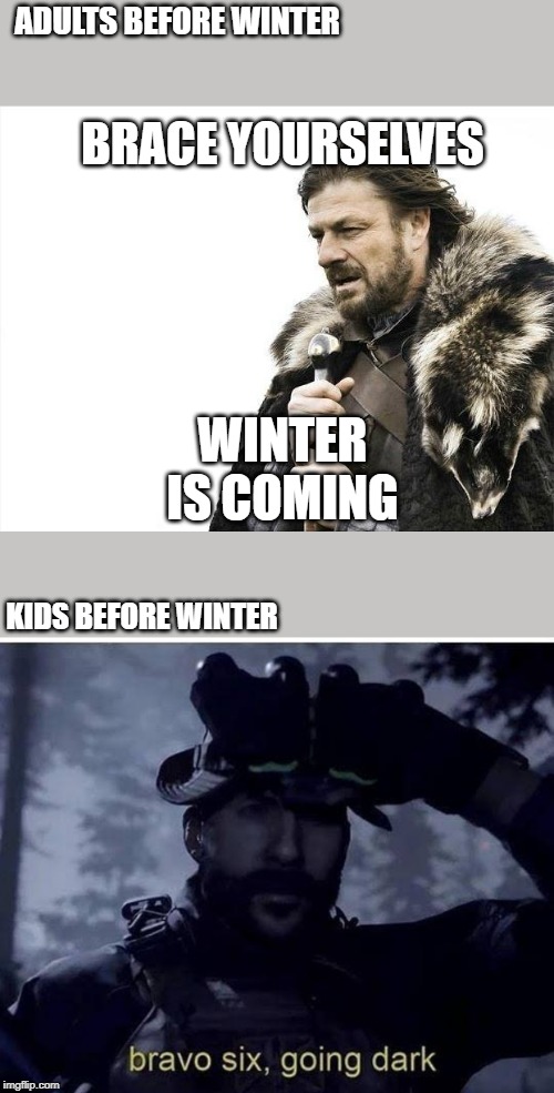 ADULTS BEFORE WINTER; BRACE YOURSELVES; WINTER IS COMING; KIDS BEFORE WINTER | image tagged in memes,brace yourselves x is coming,bravo six going dark | made w/ Imgflip meme maker