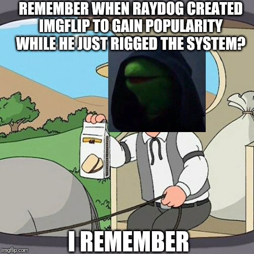 This did happen... | REMEMBER WHEN RAYDOG CREATED IMGFLIP TO GAIN POPULARITY WHILE HE JUST RIGGED THE SYSTEM? I REMEMBER | image tagged in memes,true,kermit the frog,kermit,dank kermit,not false | made w/ Imgflip meme maker