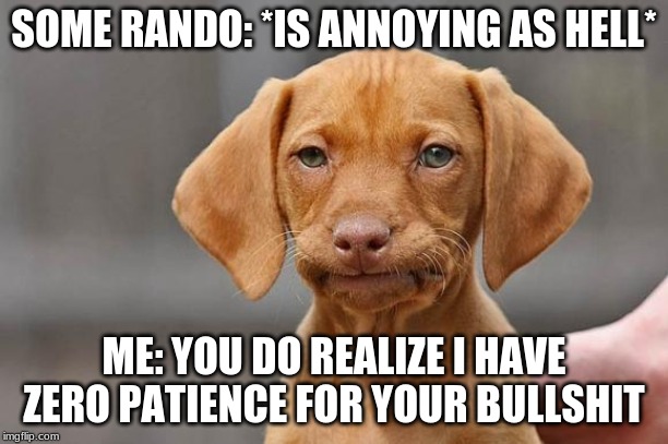 unamused dog | SOME RANDO: *IS ANNOYING AS HELL*; ME: YOU DO REALIZE I HAVE ZERO PATIENCE FOR YOUR BULLSHIT | image tagged in unamused dog | made w/ Imgflip meme maker