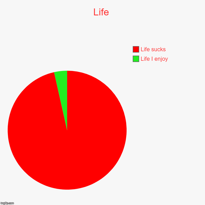 Life | Life I enjoy, Life sucks | image tagged in charts,pie charts | made w/ Imgflip chart maker
