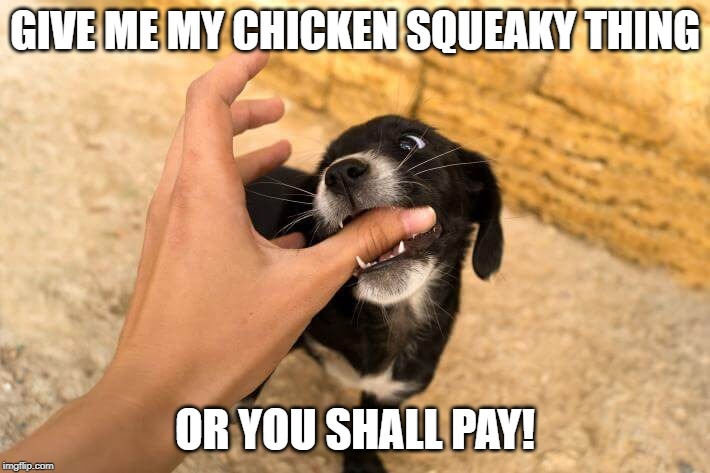 GIVE ME MY CHICKEN SQUEAKY THING; OR YOU SHALL PAY! | made w/ Imgflip meme maker