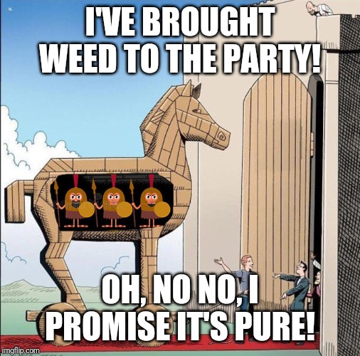 Trojan Horse | I'VE BROUGHT WEED TO THE PARTY! OH, NO NO, I PROMISE IT'S PURE! | image tagged in trojan horse | made w/ Imgflip meme maker