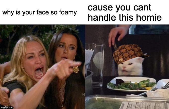 he might be foamy but he sure can give a roasty | cause you cant handle this homie; why is your face so foamy | image tagged in memes,woman yelling at cat | made w/ Imgflip meme maker