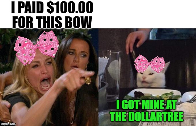 Quit copying me | I PAID $100.00 FOR THIS BOW; I GOT MINE AT THE DOLLARTREE | image tagged in funny memes,woman yelling at cat,fashion | made w/ Imgflip meme maker