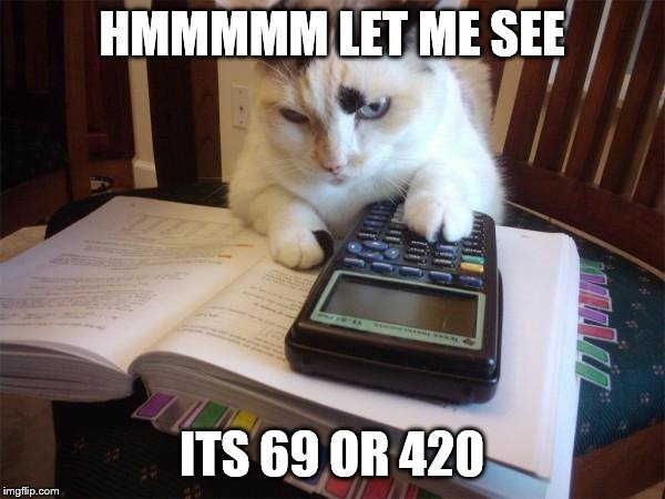 Math cat | HMMMMM LET ME SEE ITS 69 OR 420 | image tagged in math cat | made w/ Imgflip meme maker