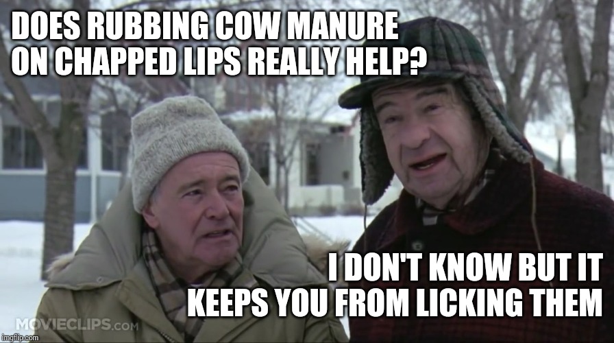 Grumpy old men  | DOES RUBBING COW MANURE ON CHAPPED LIPS REALLY HELP? I DON'T KNOW BUT IT KEEPS YOU FROM LICKING THEM | image tagged in grumpy old men | made w/ Imgflip meme maker
