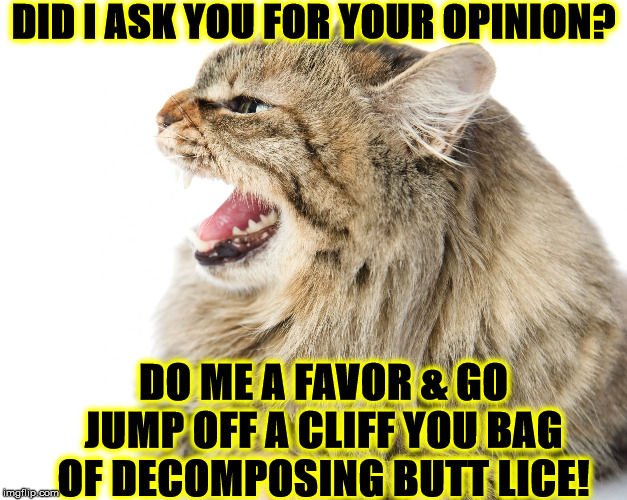 DID I ASK YOU | DID I ASK YOU FOR YOUR OPINION? DO ME A FAVOR & GO JUMP OFF A CLIFF YOU BAG OF DECOMPOSING BUTT LICE! | image tagged in did i ask you | made w/ Imgflip meme maker