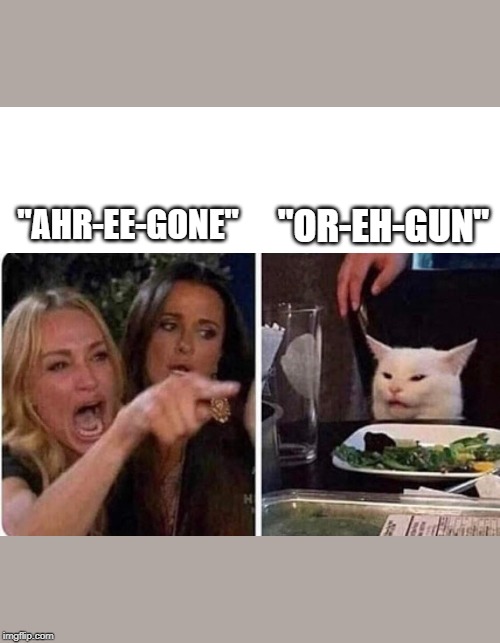 Lady screams at cat | "OR-EH-GUN"; "AHR-EE-GONE" | image tagged in lady screams at cat | made w/ Imgflip meme maker