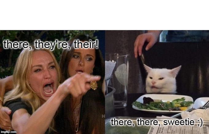 Woman Yelling At Cat Meme | there, they're, their! there, there, sweetie ;) | image tagged in memes,woman yelling at cat | made w/ Imgflip meme maker