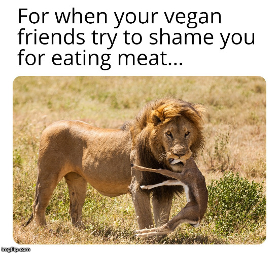 We are all a part of the food chain. | image tagged in vegan,food,idiocy | made w/ Imgflip meme maker