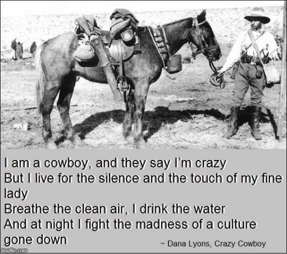Crazy Cowboy | image tagged in apocalypse,environment,freedom | made w/ Imgflip meme maker