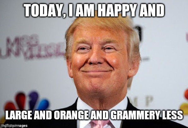 Donald trump approves | TODAY, I AM HAPPY AND; LARGE AND ORANGE AND GRAMMERY LESS | image tagged in donald trump approves | made w/ Imgflip meme maker