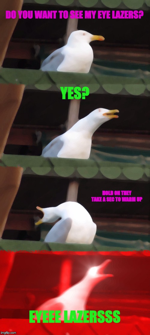 Seagull lazers | DO YOU WANT TO SEE MY EYE LAZERS? YES? HOLD ON THEY TAKE A SEC TO WARM UP; EYEEE LAZERSSS | image tagged in memes,inhaling seagull | made w/ Imgflip meme maker