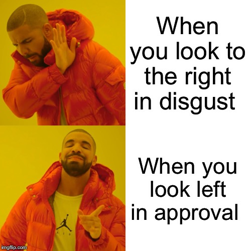 Drake Hotline Bling Meme | When you look to the right in disgust; When you look left in approval | image tagged in memes,drake hotline bling | made w/ Imgflip meme maker