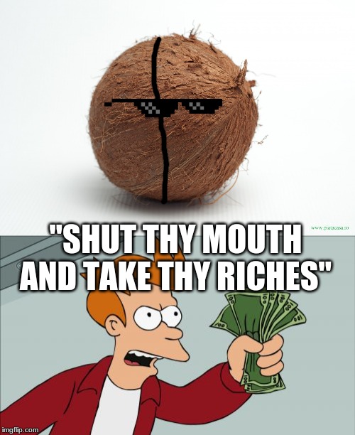 "SHUT THY MOUTH AND TAKE THY RICHES" | image tagged in memes,shut up and take my money fry,coconut | made w/ Imgflip meme maker