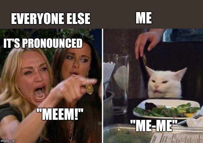 How do you say that? | ME; EVERYONE ELSE; IT'S PRONOUNCED; "MEEM!"; "ME-ME" | image tagged in yelling woman cat,meme,memes,cats,pronunciation | made w/ Imgflip meme maker