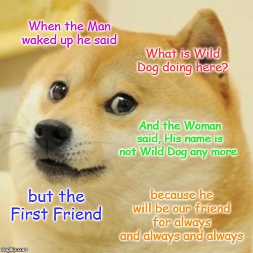 Doge Meme | When the Man waked up he said; What is Wild Dog doing here? And the Woman said, His name is not Wild Dog any more; because he will be our friend for always and always and always; but the First Friend | image tagged in memes,doge | made w/ Imgflip meme maker
