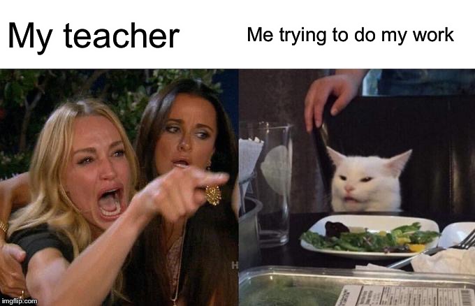 Woman Yelling At Cat | My teacher; Me trying to do my work | image tagged in memes,woman yelling at cat | made w/ Imgflip meme maker