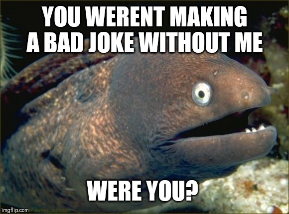 Bad Joke Eel Meme | YOU WERENT MAKING A BAD JOKE WITHOUT ME WERE YOU? | image tagged in memes,bad joke eel | made w/ Imgflip meme maker