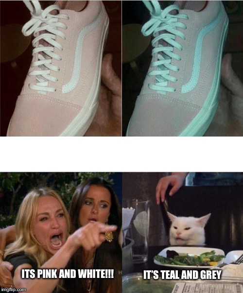 ITS PINK AND WHITE!!! IT’S TEAL AND GREY | image tagged in memes,woman yelling at cat | made w/ Imgflip meme maker