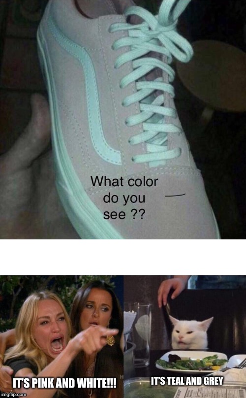 IT’S TEAL AND GREY; IT’S PINK AND WHITE!!! | image tagged in memes,woman yelling at cat | made w/ Imgflip meme maker