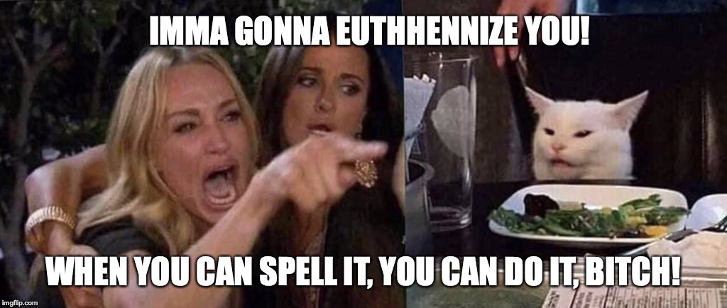 woman yelling at cat | IMMA GONNA EUTHHENNIZE YOU! WHEN YOU CAN SPELL IT, YOU CAN DO IT, BITCH! | image tagged in woman yelling at cat | made w/ Imgflip meme maker