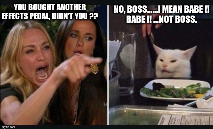Cracker cat | NO, BOSS......I MEAN BABE !!
BABE !! ...NOT BOSS. YOU BOUGHT ANOTHER EFFECTS PEDAL, DIDN'T YOU ?? | image tagged in cracker cat | made w/ Imgflip meme maker