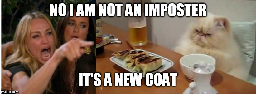 CAT AT THE TABLE | NO I AM NOT AN IMPOSTER; IT'S A NEW COAT | image tagged in woman yelling at cat | made w/ Imgflip meme maker