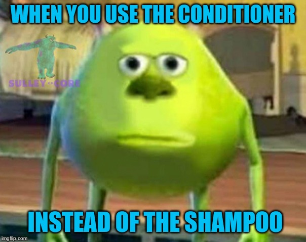 Monsters Inc | WHEN YOU USE THE CONDITIONER; INSTEAD OF THE SHAMPOO | image tagged in monsters inc | made w/ Imgflip meme maker