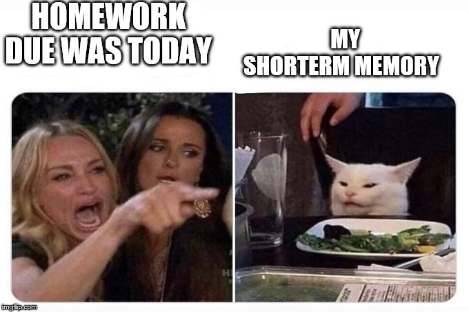 Woman shouting at cat | HOMEWORK DUE WAS TODAY; MY SHORTERM MEMORY | image tagged in woman shouting at cat | made w/ Imgflip meme maker