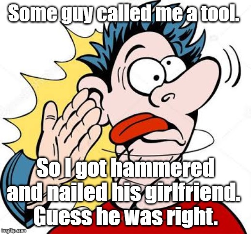 Called me a tool | Some guy called me a tool. So I got hammered and nailed his girlfriend. 
Guess he was right. | image tagged in funny | made w/ Imgflip meme maker