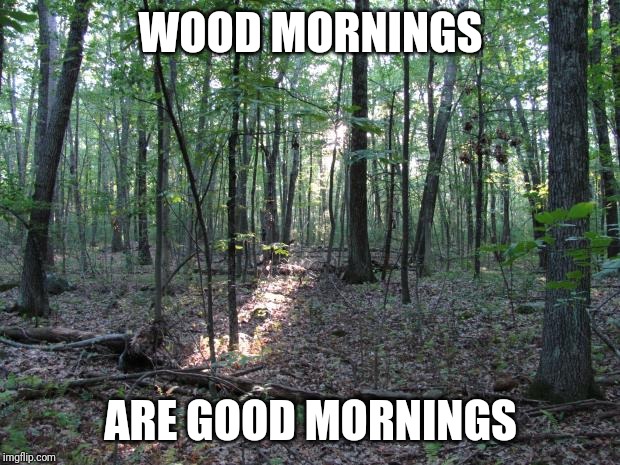 This was a good morning. | WOOD MORNINGS; ARE GOOD MORNINGS | image tagged in woods | made w/ Imgflip meme maker
