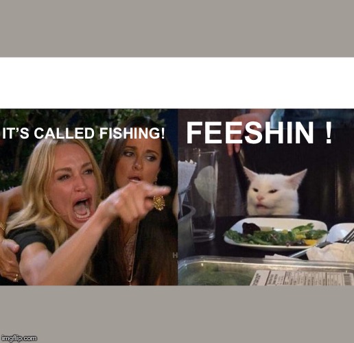 Woman Yelling At Cat Meme | FEESHIN ! IT’S CALLED FISHING! | image tagged in memes,woman yelling at cat | made w/ Imgflip meme maker