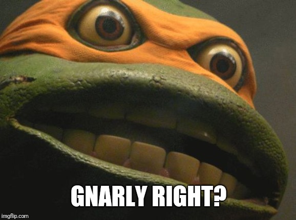TMNT Mikey | GNARLY RIGHT? | image tagged in tmnt mikey | made w/ Imgflip meme maker