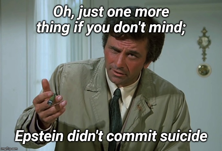 Epstein | Oh, just one more thing if you don't mind;; Epstein didn't commit suicide | image tagged in jeffrey epstein,epstein,funny,cover up,hitman,assassination | made w/ Imgflip meme maker