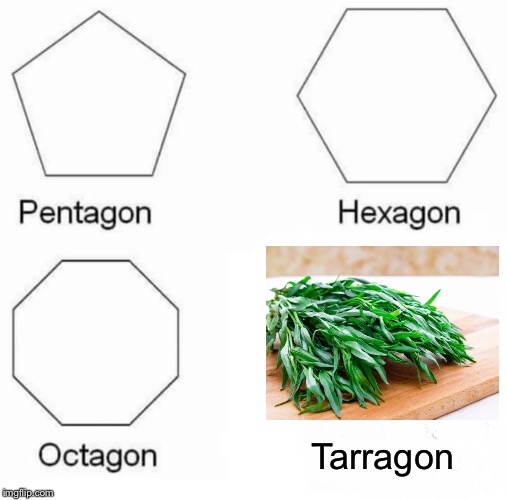 Polygon Stew Recipe | Tarragon | image tagged in memes,pentagon hexagon octagon | made w/ Imgflip meme maker