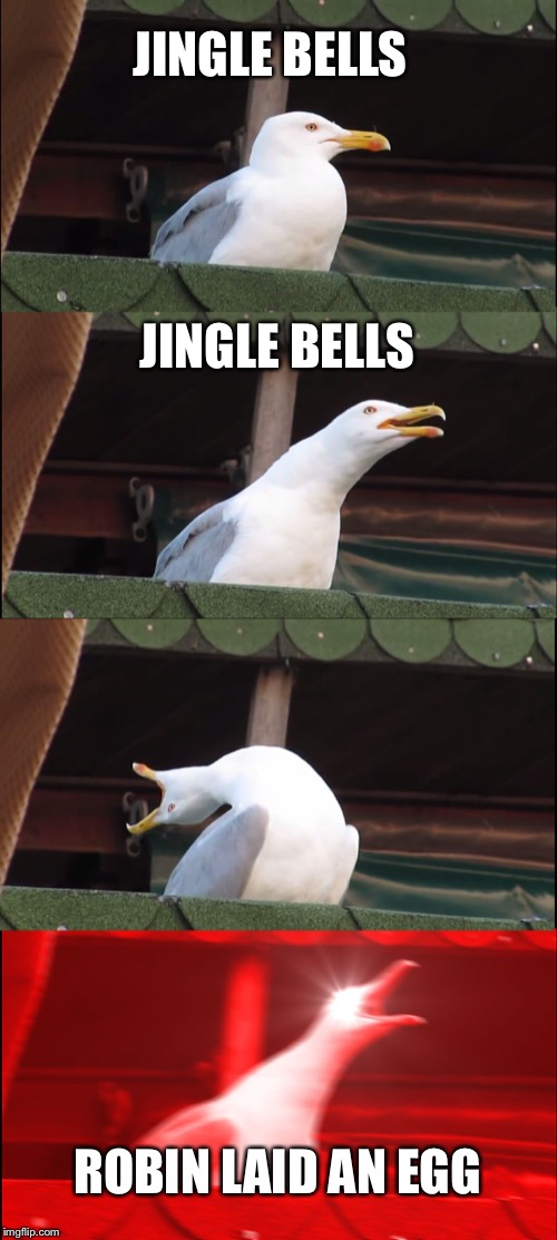 Inhaling Seagull Meme | JINGLE BELLS; JINGLE BELLS; ROBIN LAID AN EGG | image tagged in memes,inhaling seagull | made w/ Imgflip meme maker