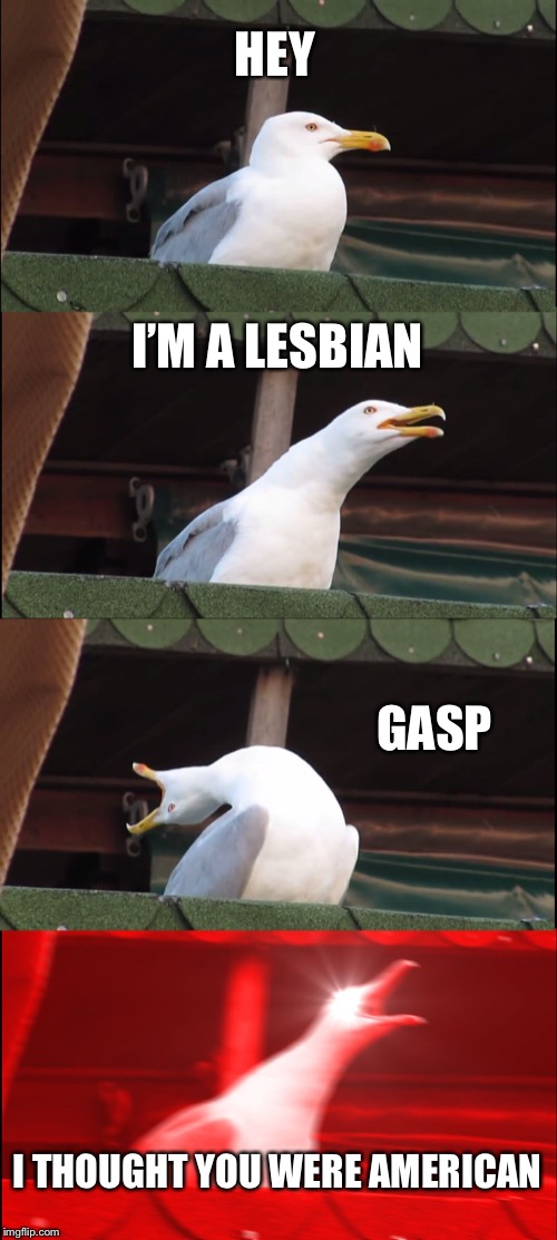 Inhaling Seagull Meme | HEY; I’M A LESBIAN; GASP; I THOUGHT YOU WERE AMERICAN | image tagged in memes,inhaling seagull | made w/ Imgflip meme maker