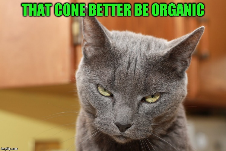 Try Me | THAT CONE BETTER BE ORGANIC | image tagged in try me | made w/ Imgflip meme maker