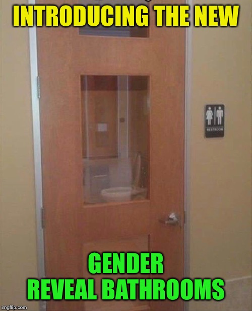 If you don’t give a crap when you take a crap | INTRODUCING THE NEW; GENDER REVEAL BATHROOMS | image tagged in toilet,window,door,gender equality,bathroom humor | made w/ Imgflip meme maker