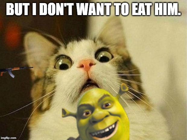 Scared Cat | BUT I DON'T WANT TO EAT HIM. | image tagged in memes,scared cat | made w/ Imgflip meme maker