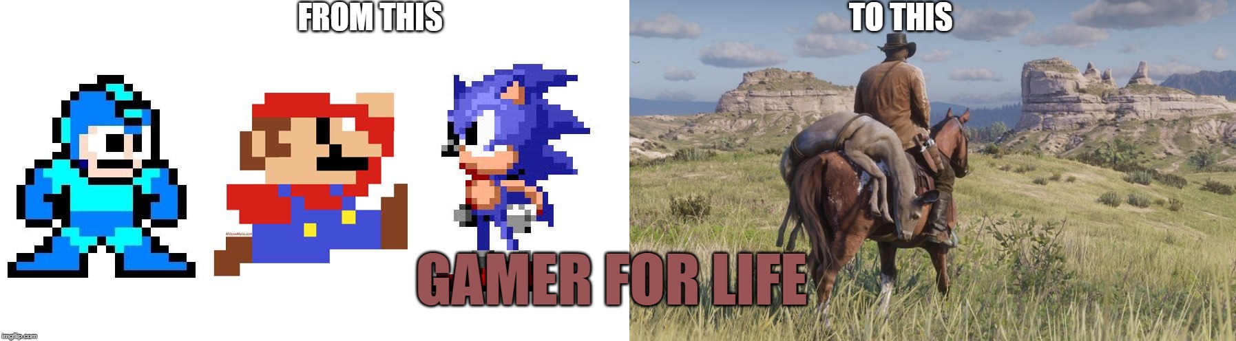 gmr4lf | FROM THIS                                                                   TO THIS; GAMER FOR LIFE | image tagged in 8bit4k | made w/ Imgflip meme maker