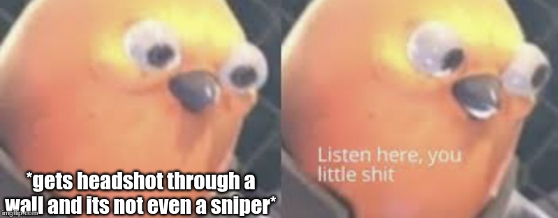 Listen here you little shit bird | *gets headshot through a wall and its not even a sniper* | image tagged in listen here you little shit bird | made w/ Imgflip meme maker